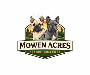 French Bulldog Dog Breeder near FOUNTAIN CITY, IN, USA