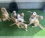 Small #7 Breeder Profile image