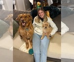 Small #2 Breeder Profile image