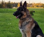 Small #4 Breeder Profile image