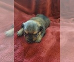 Small #120 Breeder Profile image
