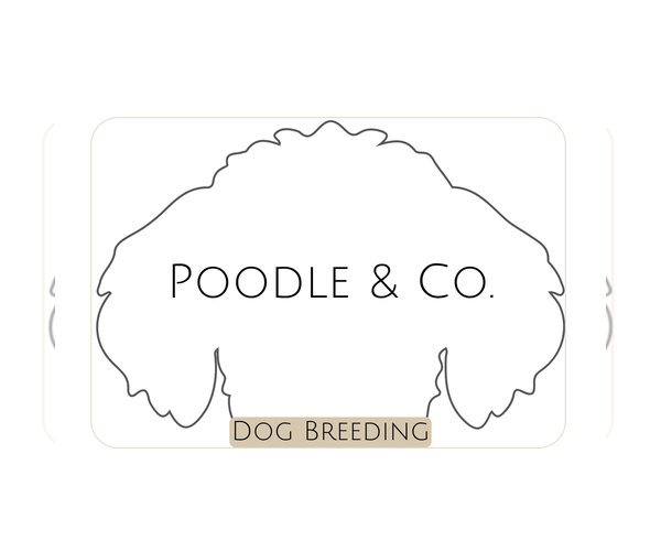 Medium Photo #1  Breeder Profile in FAYETTEVILLE, NC, USA