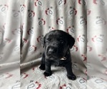 Small #7 Breeder Profile image