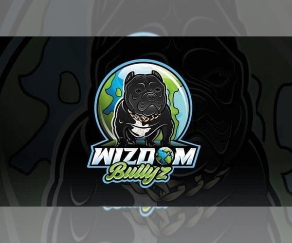 Medium Photo #1  Breeder Profile in SAINT CLOUD, FL, USA