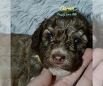 Small #10 Breeder Profile image