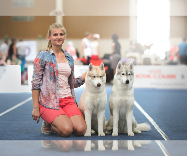 Medium Photo #2  Breeder Profile in Lviv, Lviv, Ukraine