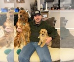 Small #1 Breeder Profile image