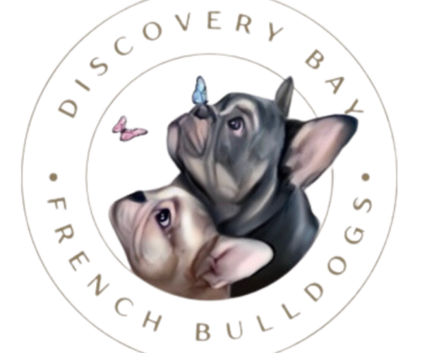 Medium Photo #1  Breeder Profile in DISCOVERY BAY, CA, USA