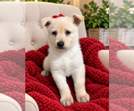 Small #2 Breeder Profile image