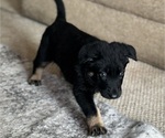 Small #3 Breeder Profile image