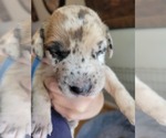 Small #6 Breeder Profile image