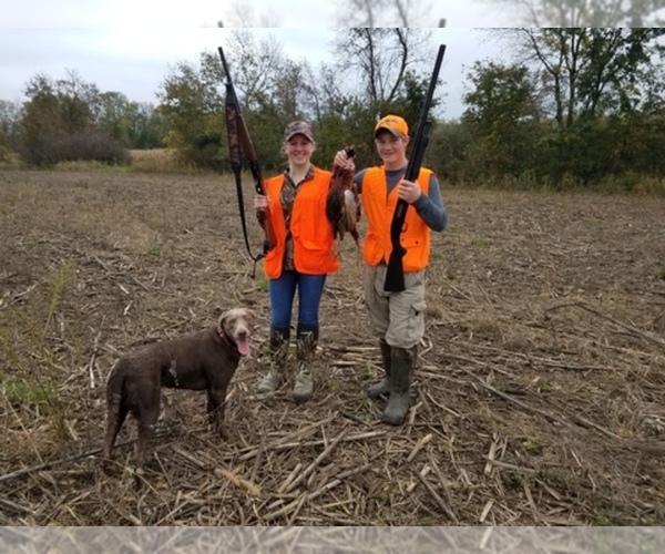 Medium Photo #1  Breeder Profile in WAUPACA, WI, USA