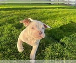 Small #22 Breeder Profile image