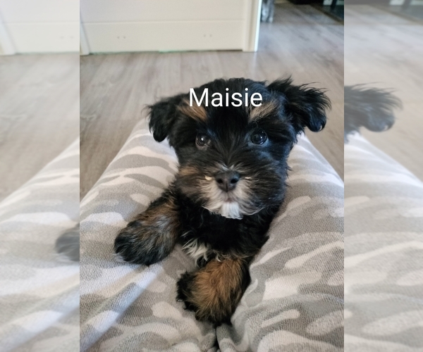 Medium Photo #7  Breeder Profile in NEW CASTLE, CO, USA
