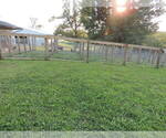 Small Photo #10  Breeder Profile in CARLISLE, KY, USA