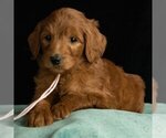 Small #5 Breeder Profile image