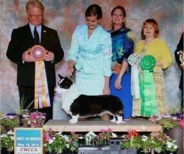 Medium Photo #1  Breeder Profile in ASHVILLE, AL, USA