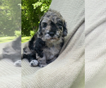 Small #8 Breeder Profile image