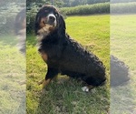 Small #23 Breeder Profile image