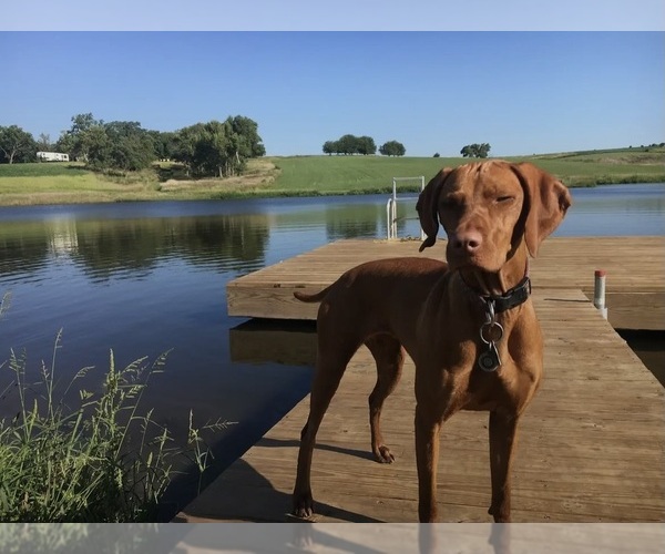 Medium Photo #2  Breeder Profile in GREENFIELD, IA, USA