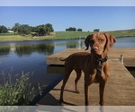 Small #1 Breeder Profile image