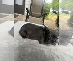 Small #22 Breeder Profile image
