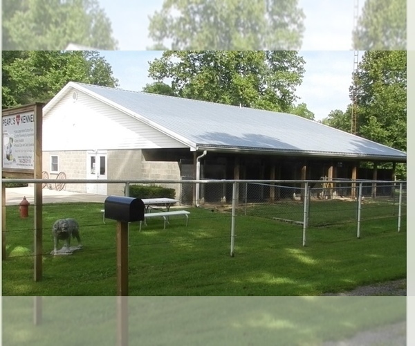 Medium Photo #1  Breeder Profile in BEAVER, OH, USA