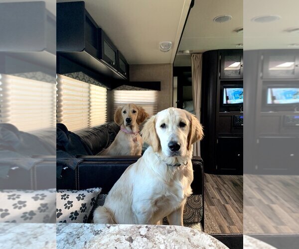 Medium Photo #1  Breeder Profile in ANDERSON, SC, USA