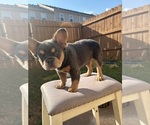 Small #6 Breeder Profile image