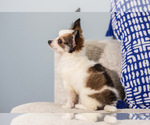 Small #27 Breeder Profile image