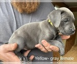 Small #2 Breeder Profile image