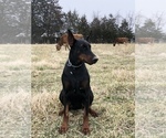 Small #2 Breeder Profile image