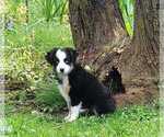 Small #5 Breeder Profile image
