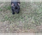 Small #16 Breeder Profile image