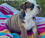 Small #3 Breeder Profile image