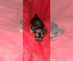 Small #351 Breeder Profile image