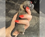 Small #7 Breeder Profile image