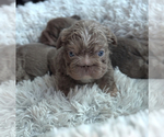 Small #6 Breeder Profile image