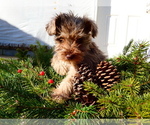 Small #10 Breeder Profile image