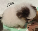 Small #12 Breeder Profile image