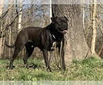 Small #24 Breeder Profile image