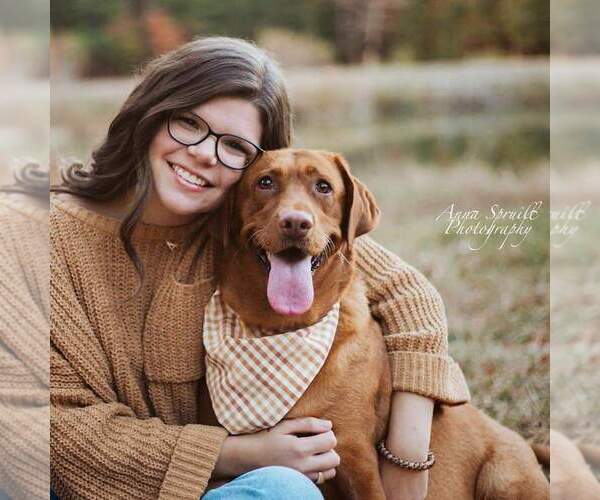 Medium Photo #1  Breeder Profile in ELIZABETH CTY, NC, USA