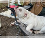 Small #11 Breeder Profile image