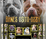 Small #9 Breeder Profile image