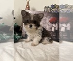 Small #1 Breeder Profile image