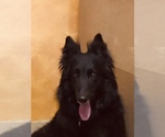 Small #7 Breeder Profile image