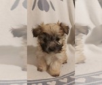 Small #8 Breeder Profile image