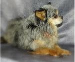 Small #5 Breeder Profile image