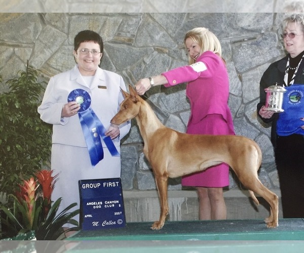 Medium Photo #1  Breeder Profile in KINGSLAND, GA, USA