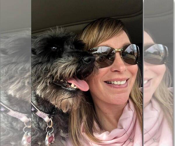 Medium Photo #1  Breeder Profile in SMYRNA, TN, USA